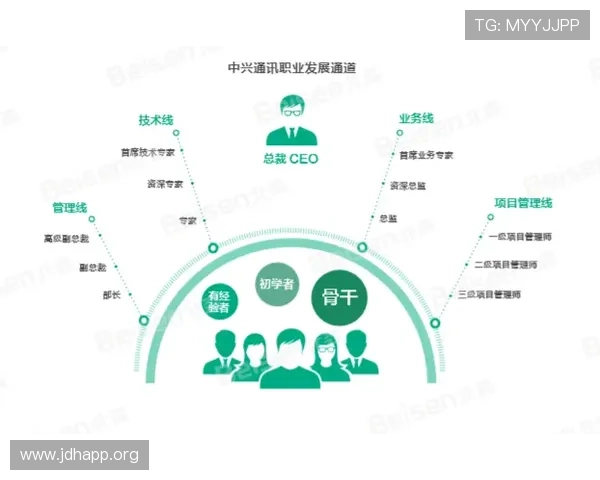 瑞盈科技：引领创新驱动未来发展的科技先锋